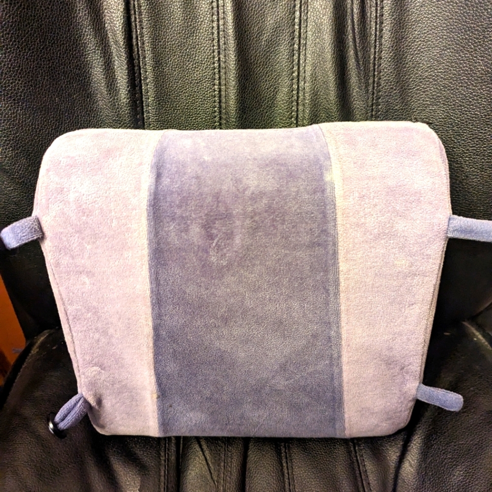 Lumbar Support in Purple